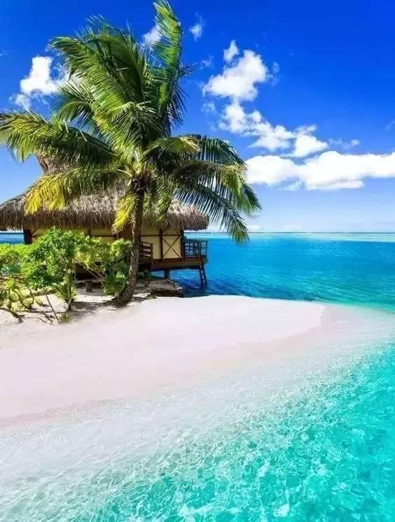 美妙夏季拼图